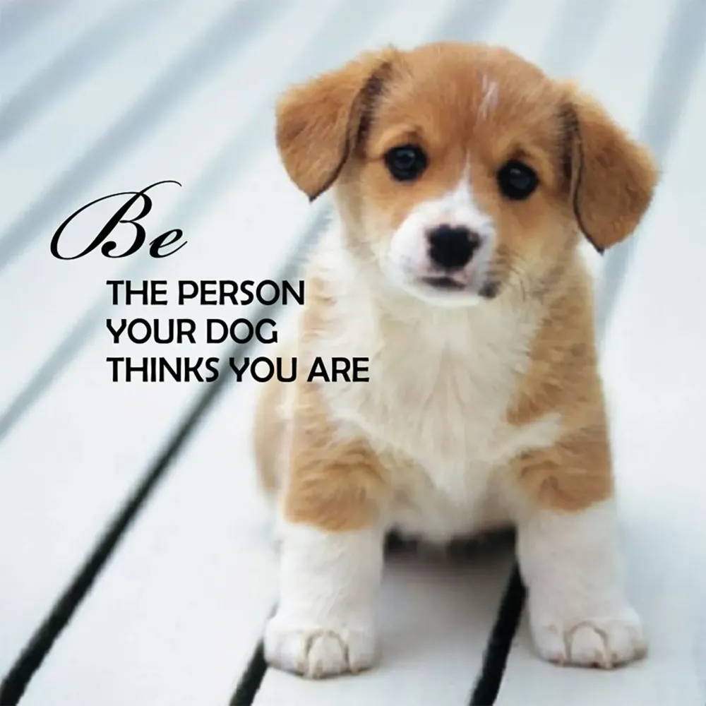 Pup Notes - 60 Notes of Dog Love & Joy